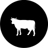 beef