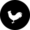 chicken